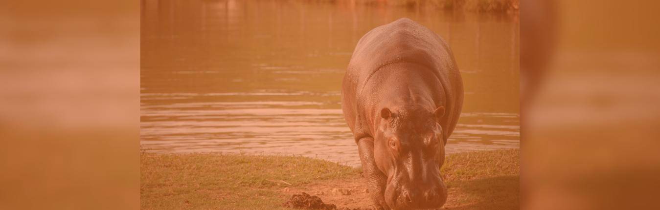 Imagen Actualidad (2)