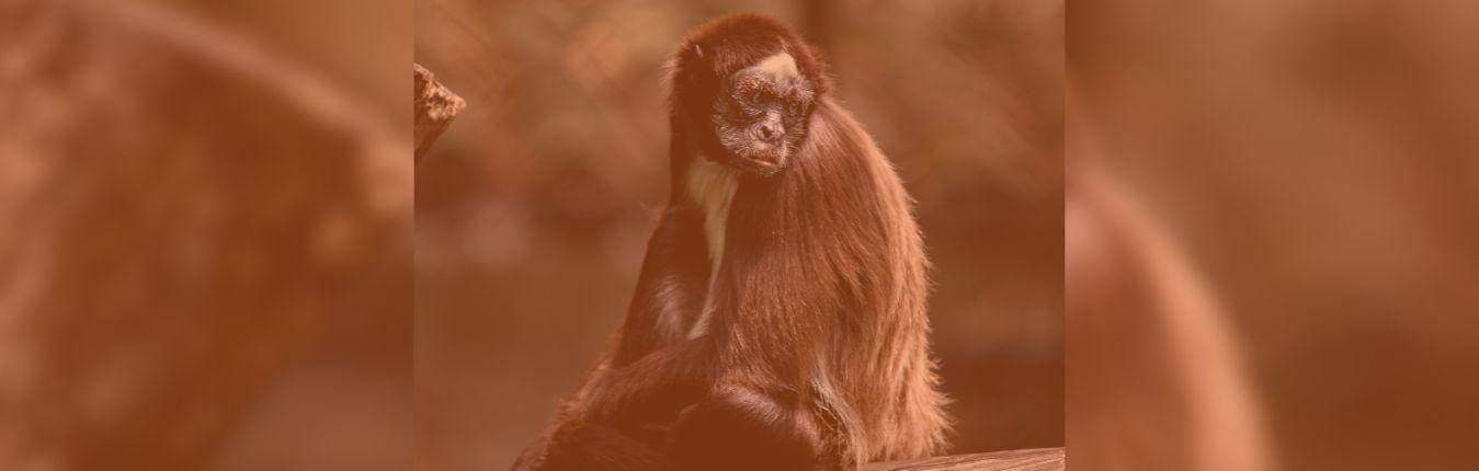 Imagen Actualidad (2)