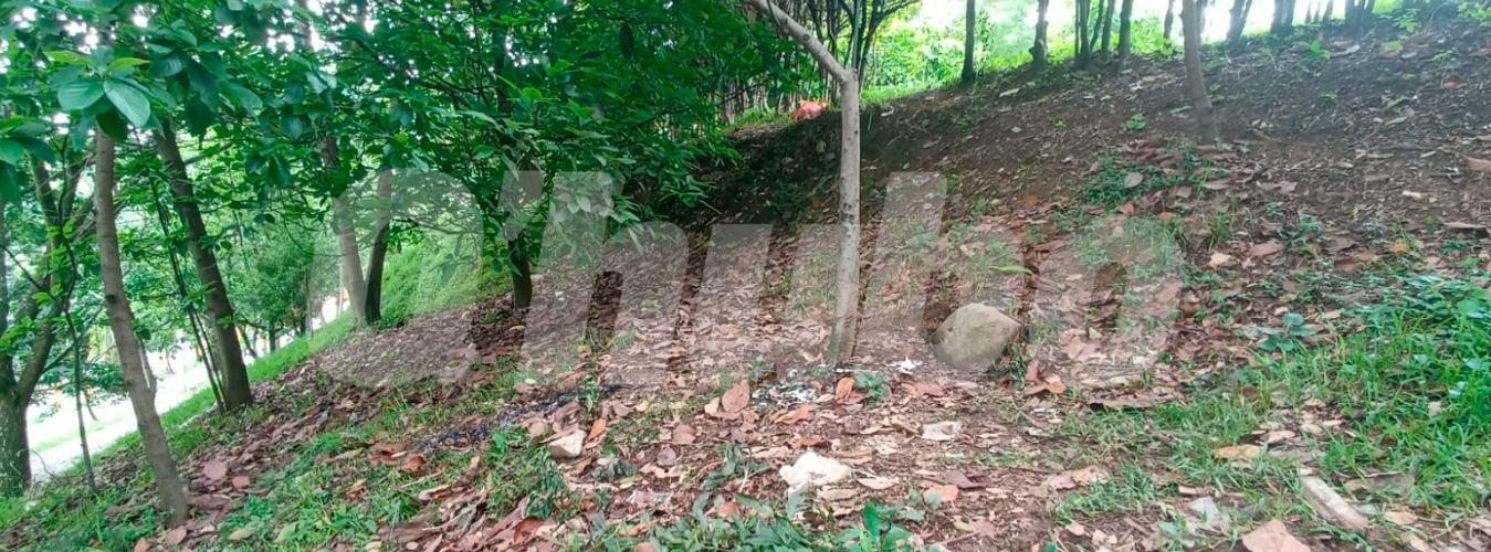 En esta zona verde de la carrera 90A con calle 45 encontraron al hombre quemado. /FOTO: ALEJANDRA MORALES RÍOS