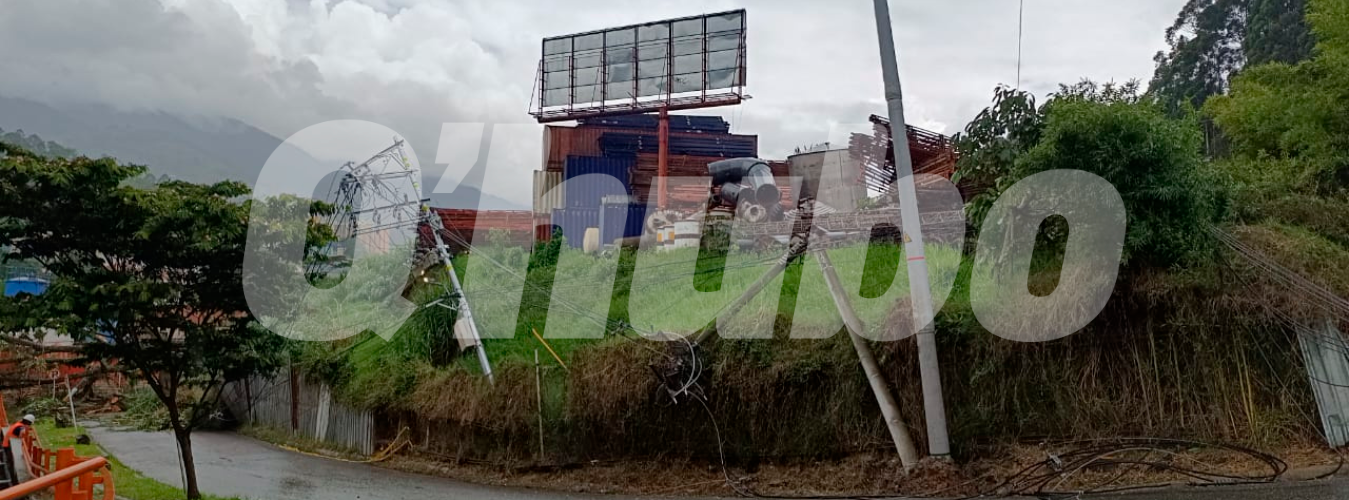 EN FOTOS: Un árbol dejó sin energía a varios habitantes de Caldas