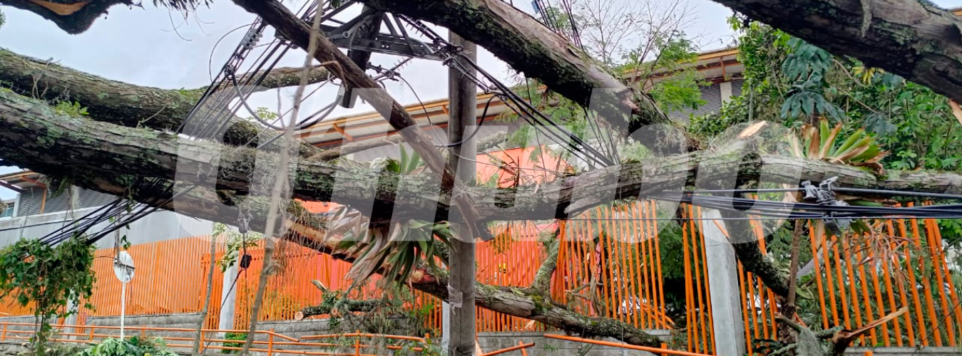 $!/FOTOS: SUSANA COGUA