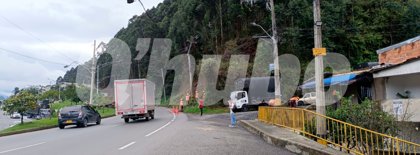 EN FOTOS: Un árbol dejó sin energía a varios habitantes de Caldas