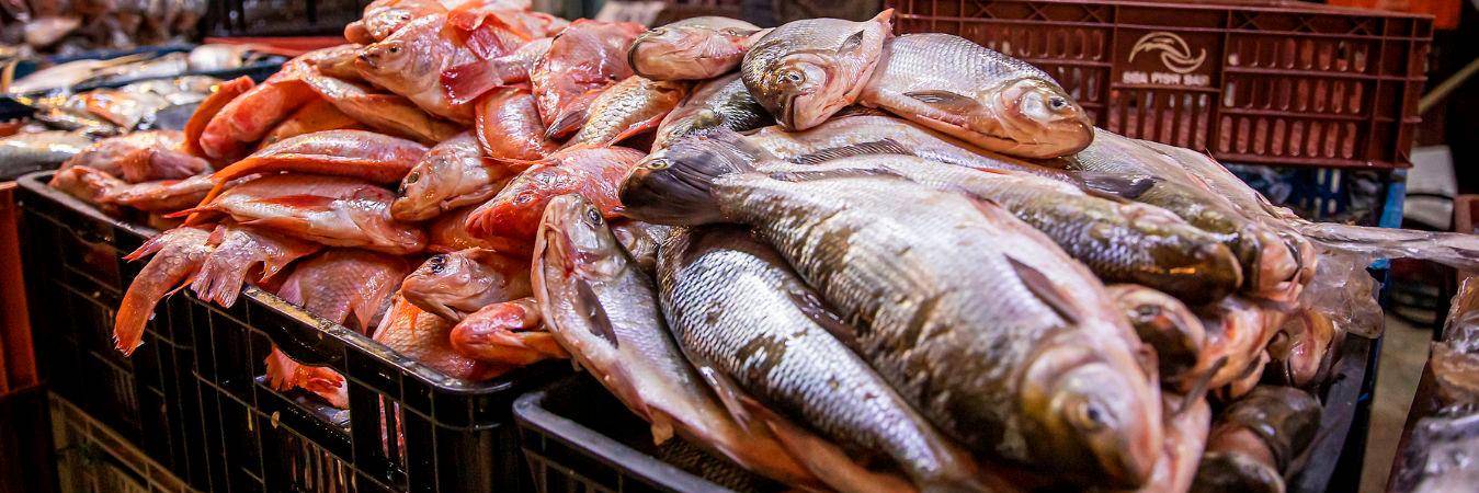 /FOTO: CARLOS ALBERTO VELÁSQUEZ PIEDRAHITA 