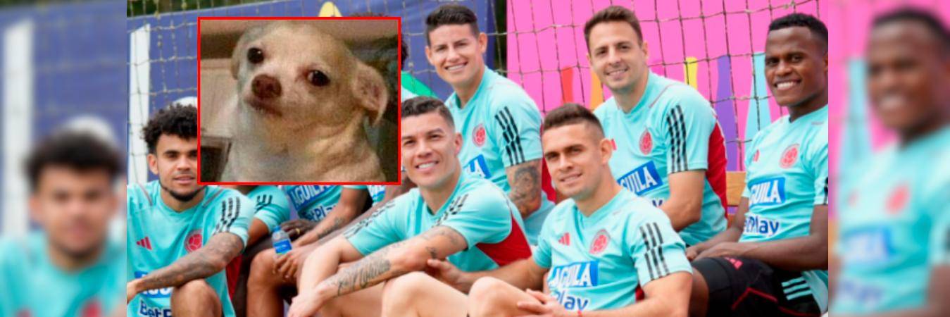 La Selección Colombia jugará ante Perú el 6 de septiembre. /FOTO: FCF