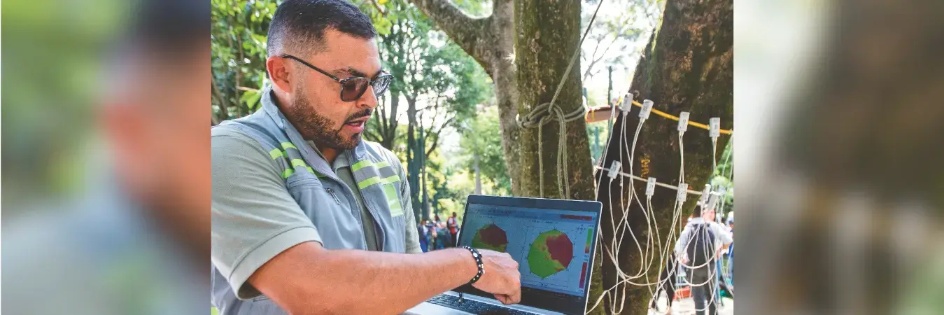 Con equipos especializados como estos, las autoridades evaluarán el estado de los árboles, analizando el interior de los troncos y las raíces. /FOTO: JULIO CÉSAR HERRERA