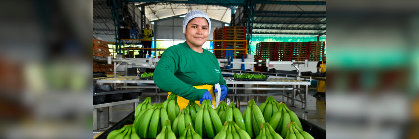 / FOTO: DANILO GOMÉZ COGOLLO