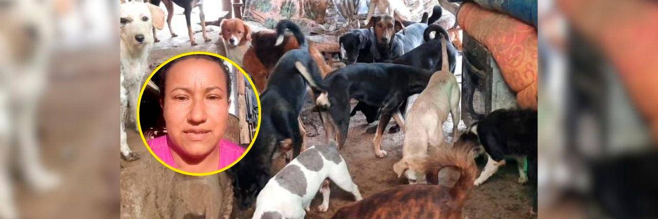 Ella es Yesenia y parte de los 50 perros y gatos que tiene en la fundación Huellitas Callejeras. /FOTOS: TOMADAS DEL INSTAGRAM DE HUELLITAS CALLEJERAS. 