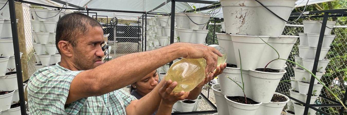 Las huertas han sido una alternativa para las familias del sector. FOTO: JAIDER ESCOBAR