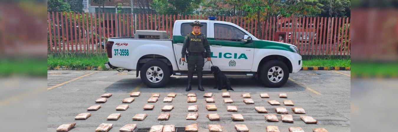 /FOTO: POLICÍA NACIONAL