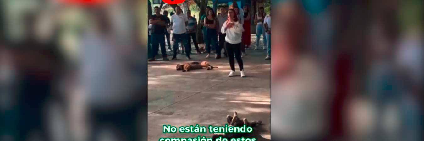 /FOTO: TOMADA DE VIDEO