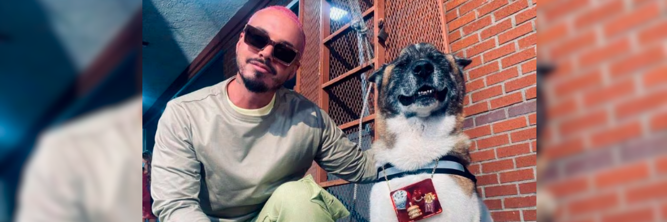 Enzo fue bastante popular en redes, tenía su propia cuenta de Instagram. /FOTO: INSTAGRAM @meandenzo