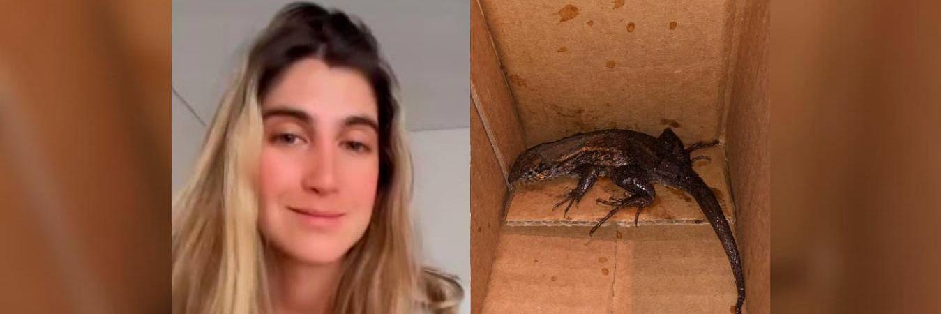 En la imagen se puede ver el extraño animal que llegó en un pedido de Amazon. /FOTO: CAPTURA PANTALLA VIDEO SOFIA SERRANO.