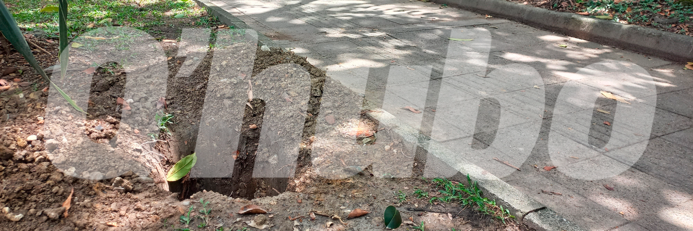 La ciudadanía ahora tema por la seguridad. /FOTO: MAURICIO ANDRÉS PALACIO BETANCUR. 