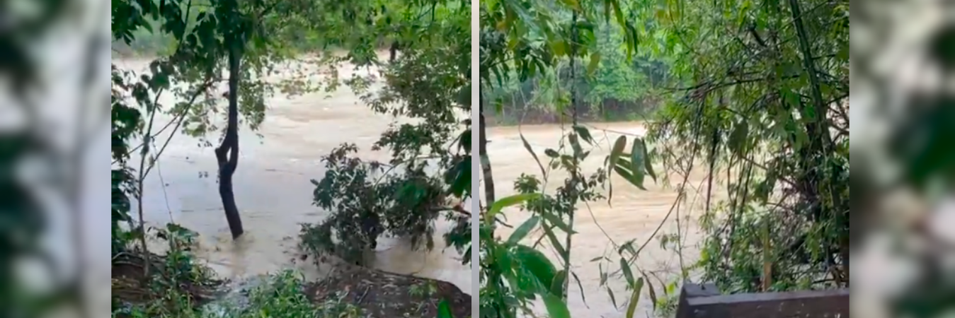 /FOTOS: TOMADAS DE VIDEO 