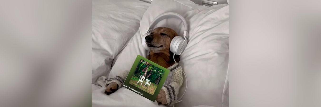 Los fanáticos aplaudieron las nuevas canciones y publicaron varios memes. / FOTO: TOMADA DE REDES SOCIALES