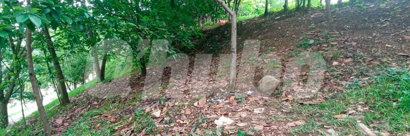 En esta zona verde de la carrera 90A con calle 45 encontraron al hombre quemado. /FOTO: ALEJANDRA MORALES RÍOS 