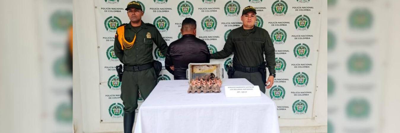 El capturado y los alacranes incautados. /FOTO: CORTESÍA