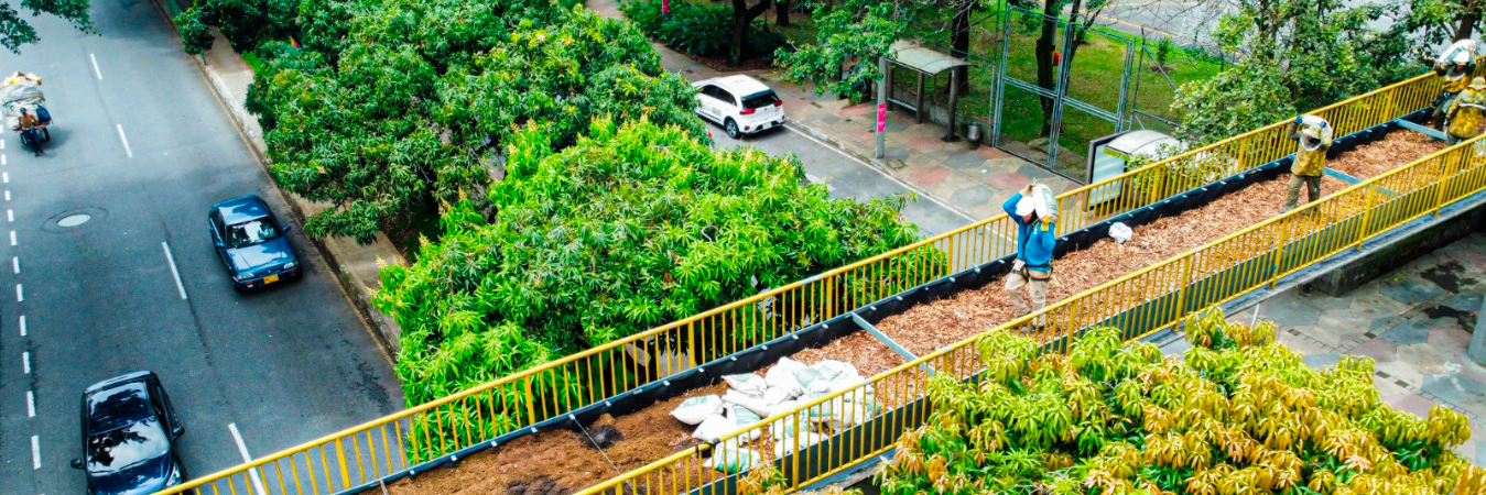 /FOTO: ALCALDÍA DE MEDELLÍN