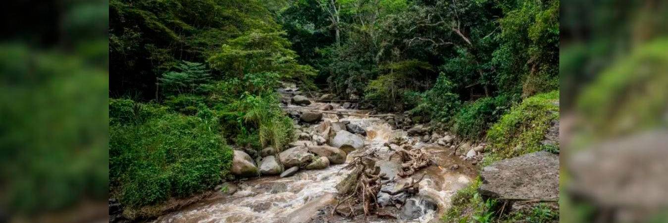Río Aurra, en San Jerónimo. /FOTO: CAMILO SUÁREZ 