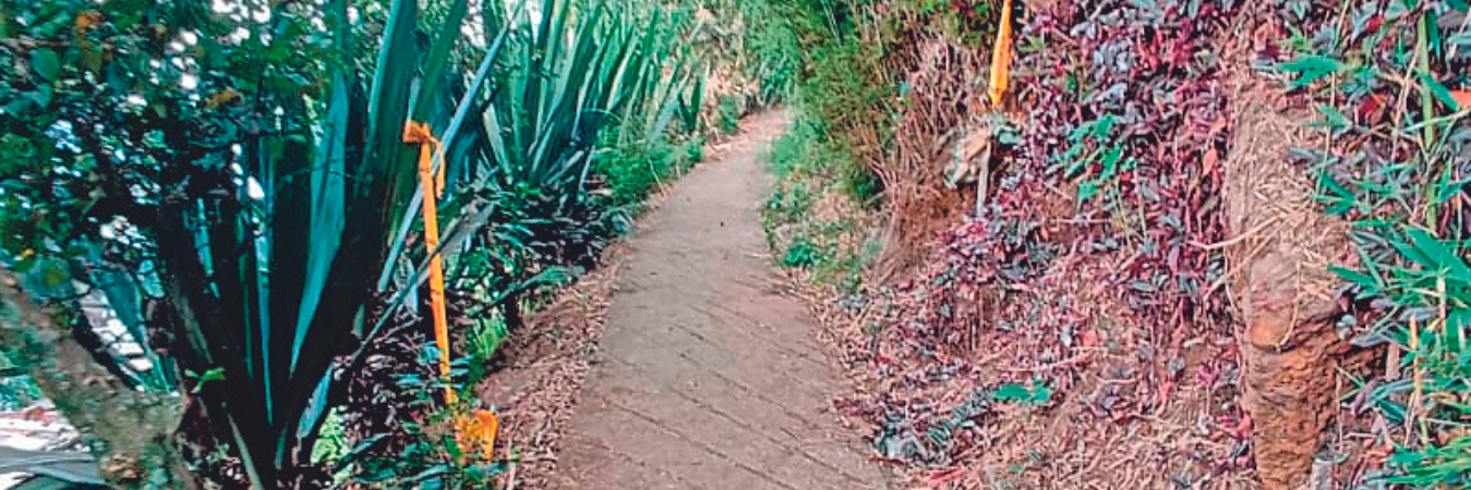 / FOTO: ALEJANDRA MORALES.