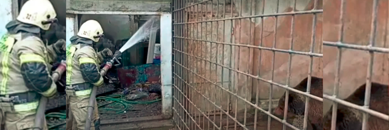 Los bomberos lograron controlar el incendio luego de cuatro horas. / FOTO: RMES 