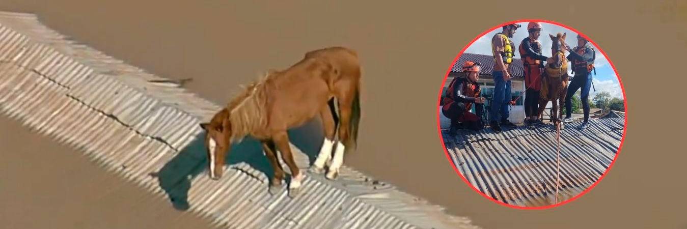 /FOTOS: TOMADAS DE X @porqueTTarg - @governo_rs