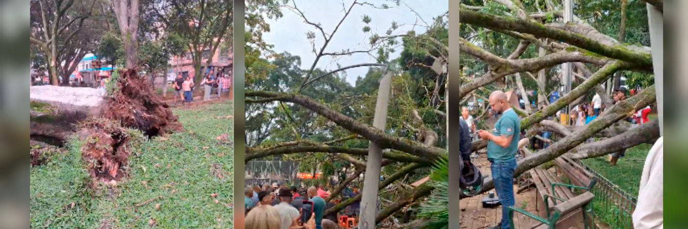 /FOTOS: TOMADAS DE VIDEO 