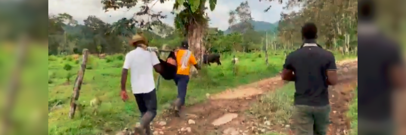 La familia desplazó al menor hasta una vereda, pero el niño ya no tenía signos vitales cuando el personal pudo atenderlo. /FOTO: CAPTURA DE PANTALLA