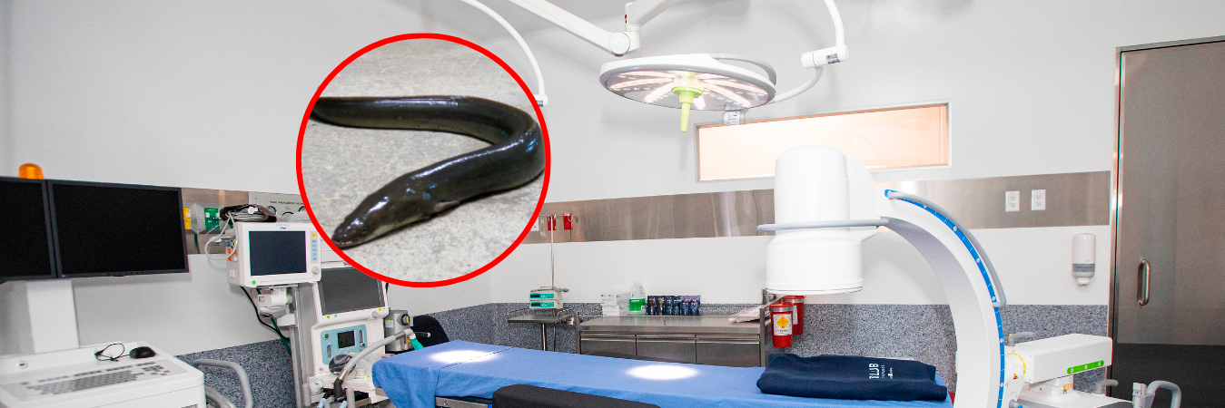 Consultorio para ilustrar /FOTO: ESNEYDER GUTIÉRREZ 