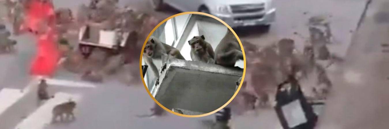 /FOTO: CAPTURAS DE VIDEO TOMADO DE X @LeiSueli6718 Y NOTICIAS CARACOL 