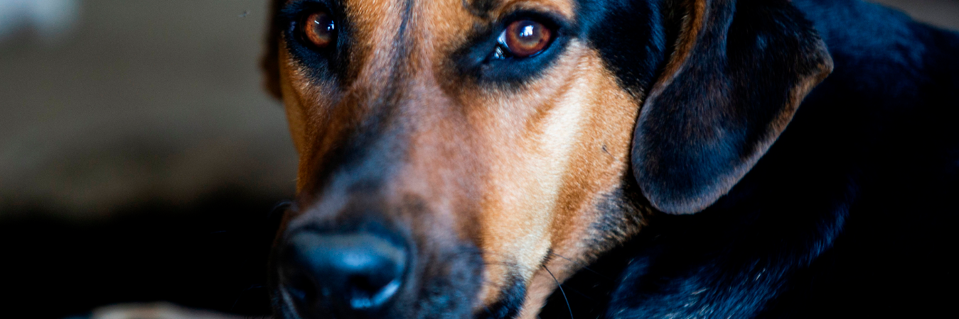 Imagen utilizada con fines ilustrativos, no corresponde a la que se vio inmiscuida en los hechos. / FOTO: JULIO CÉSAR HERRERA. 