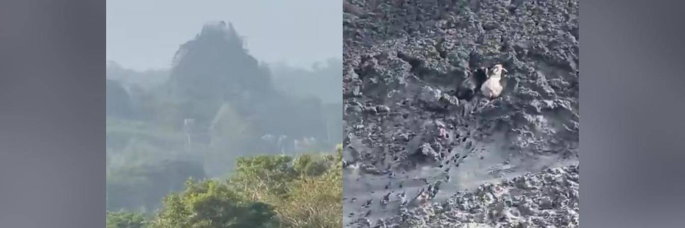 FOTO: NOTI SAN PEDRO Y NOTICIAS LUA 