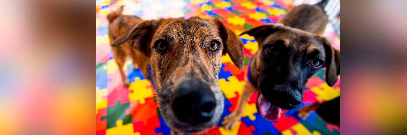 /FOTO: JULIO CÉSAR HERRERA