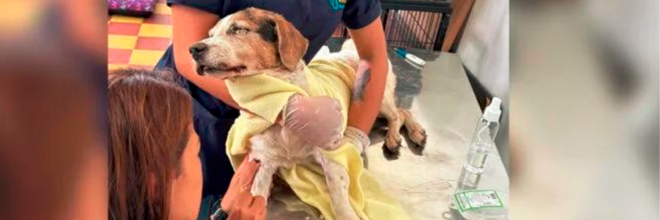 /FOTO: CORTESÍA ITAGÜÍ HOY. 