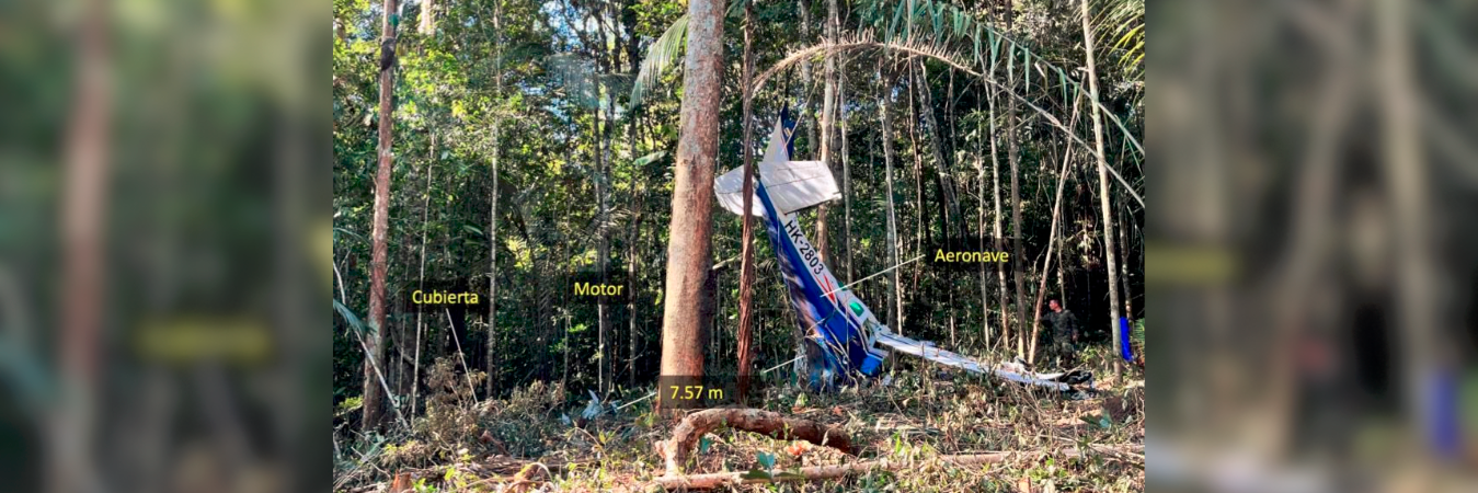 El informe detalló cómo los menores sobrevivieron en la selva. / FOTO: AEROCIVIL