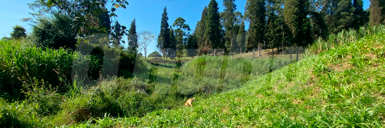 /FOTO: ANDRÉS FELIPE OSORIO GARCÍA