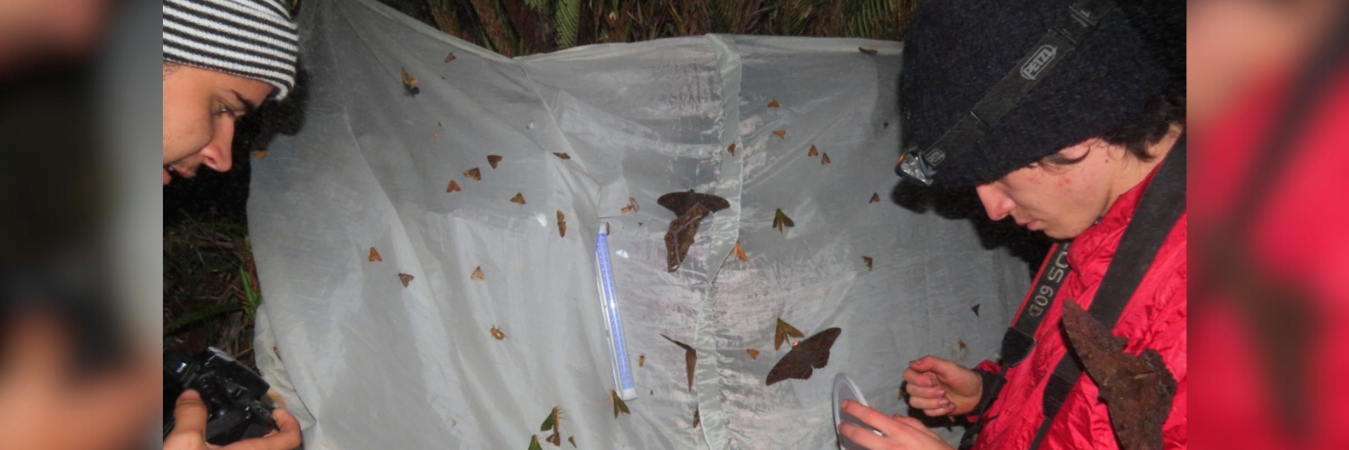 Los estudiantes en una salida de campo. /FOTO: CORTESÍA Julián David Alzate.