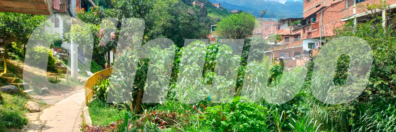 Los bomberos recuperaron el cadáver. /FOTO: MAURICIO ANDRÉS PALACIO BETANCUR.