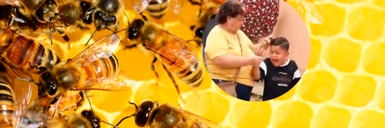 /FOTOS: CANVA Y CAPTURA DE PANTALLA