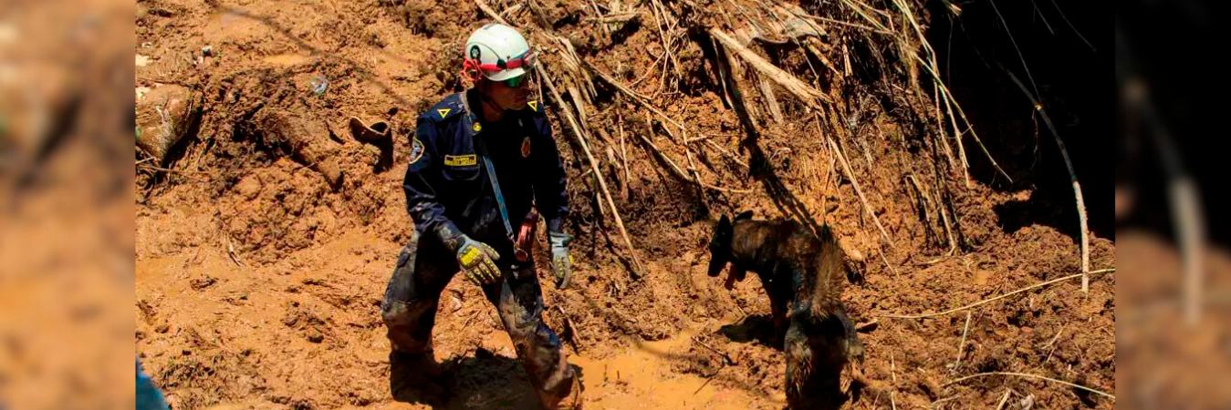 Organismos de socorro no paran de trabajar para rescatar a los damnificados que dejó el deslizamiento que se presentó en Sabaneta. /FOTO: CAMILO SUÁREZ