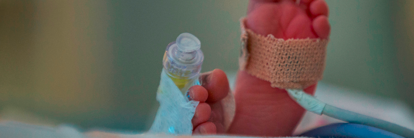 /FOTO: JULIO CÉSAR HERRERA. 