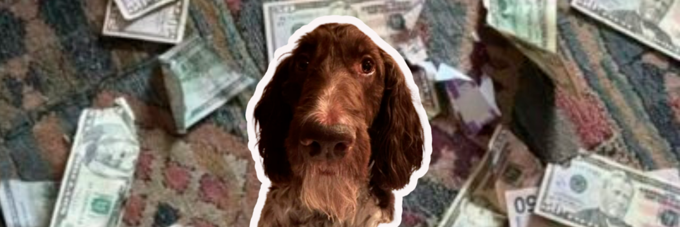 / FOTOS: TOMADAS DE LA WEB