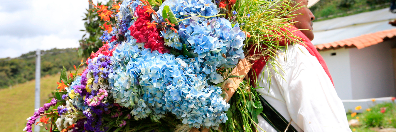 En las fincas podrá ver la creación de las silletas de la Feria de las Flores. /FOTO: ESNEYDER GUTIÉRREZ - IMAGEN DE REFERENCIA
