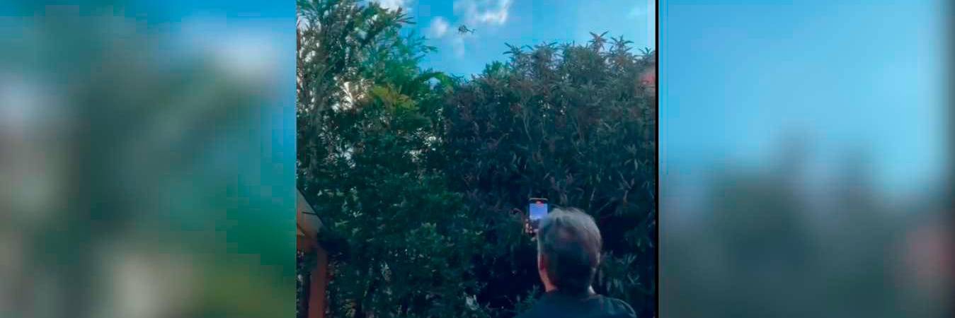 /FOTO: TOMADA DE X @QuinteroCalle