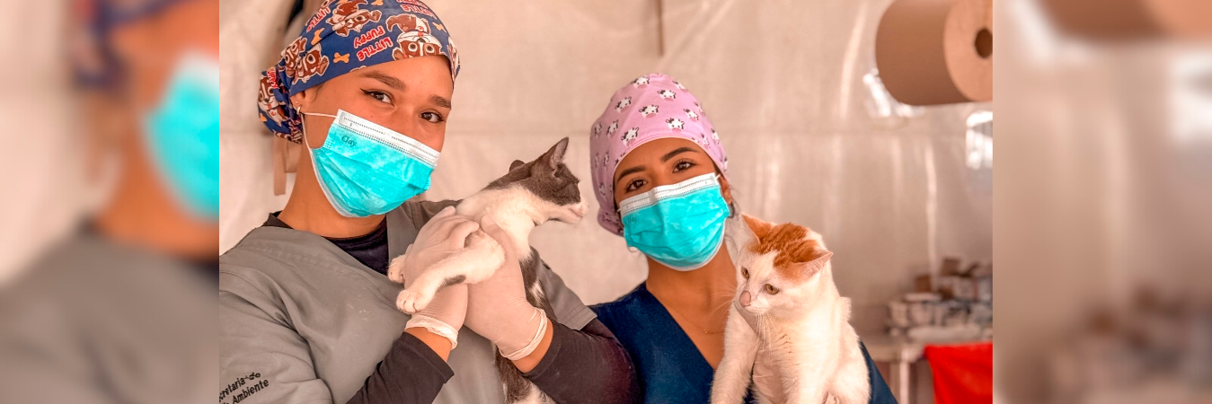 /FOTO: ALCALDÍA DE MEDELLÍN