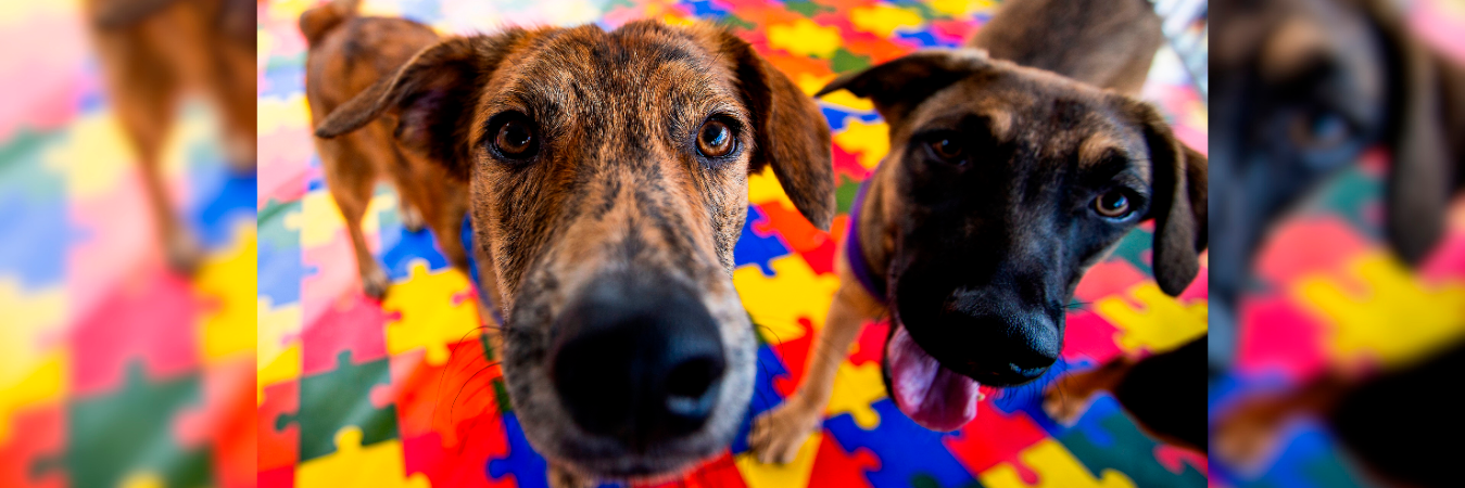 /FOTO: JULIO CÉSAR HERRERA