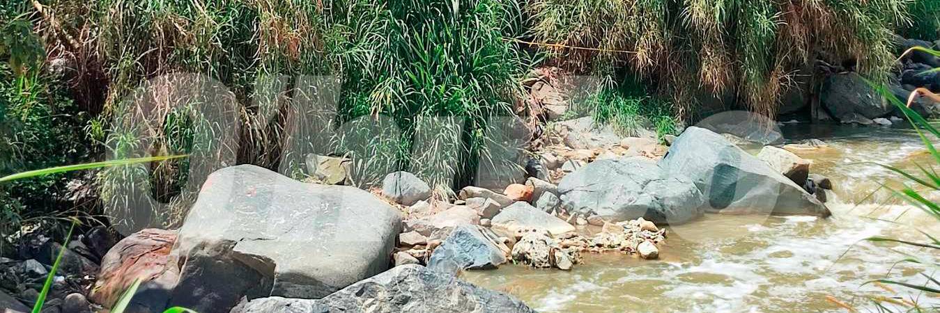 /FOTO: ANDRÉS FERNANDO GARCÍA 