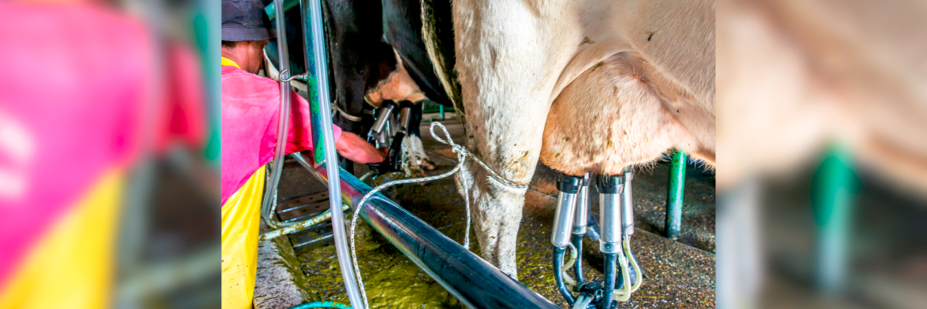 Los productos serán retirados del mercado. / FOTO: JUAN ANTONIO SÁNCHEZ
