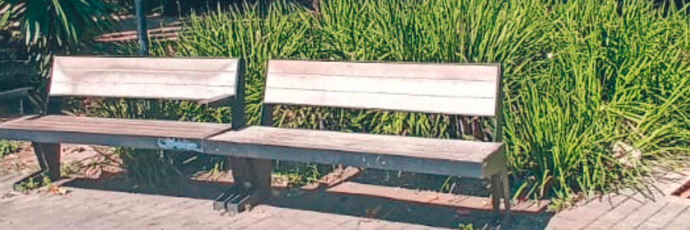 / FOTO: ALEJANDRA MORALES.