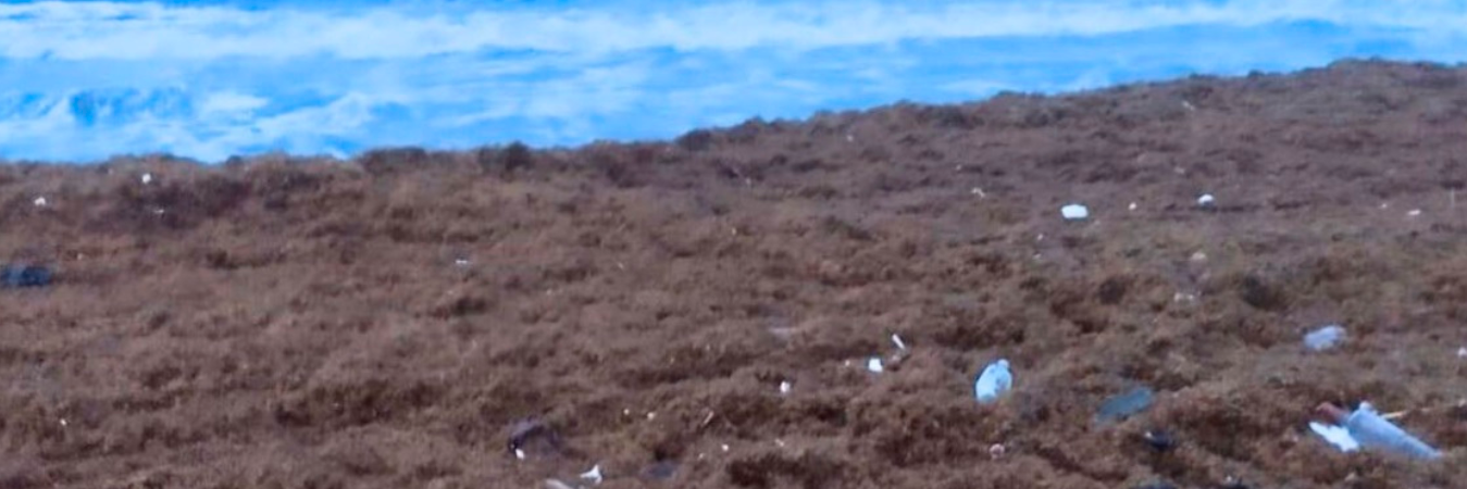 Fenómeno natural en Moñitos. /FOTO: LA RAZÓN.CO